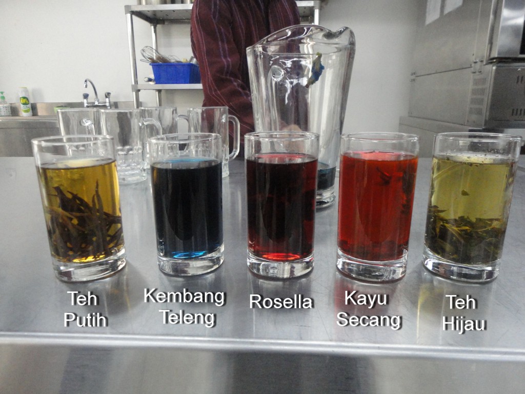 Healthy Traditional Beverage Projects