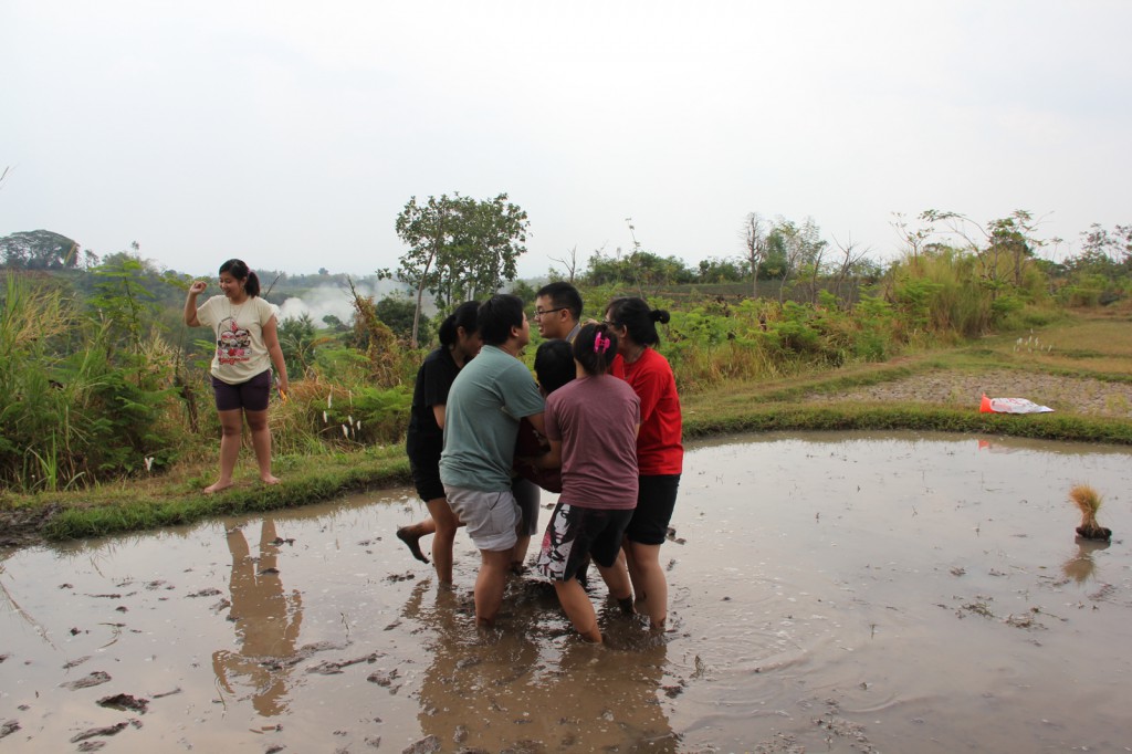 CBz Gathering 2013-1