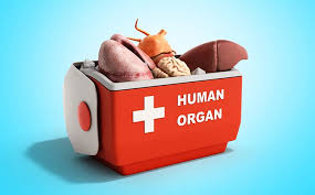 transplantasi organ