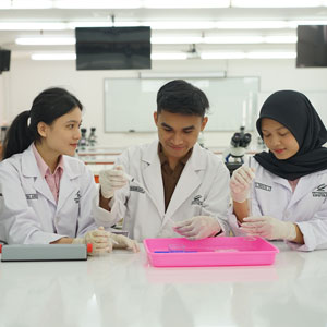 Pendidikan Dokter Profesional
