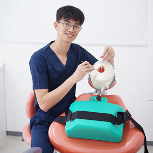 Karir Dokter Gigi