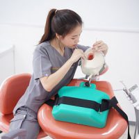 Fungsi Kesehatan Gigi dan Mulut