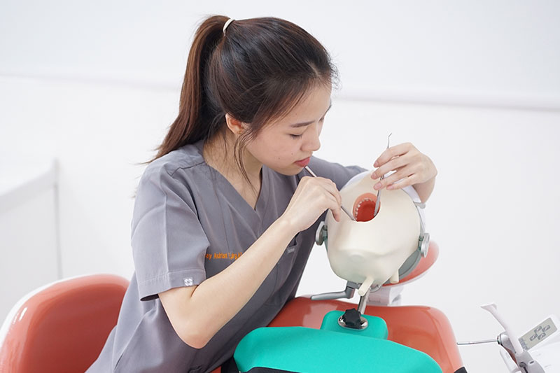 Fungsi Kesehatan Gigi dan Mulut