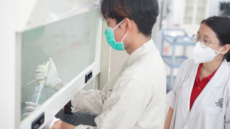 Peran Penting Proses Fermentasi dalam Food Technology